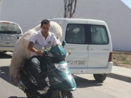 XVII Concentracion - 2010